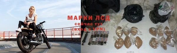 дмт Зерноград