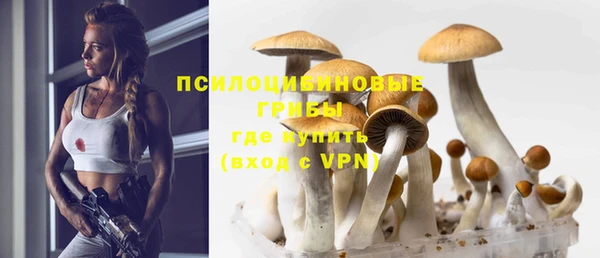 дмт Зерноград
