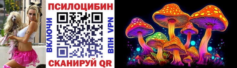 Псилоцибиновые грибы MAGIC MUSHROOMS где купить наркотик Кимовск