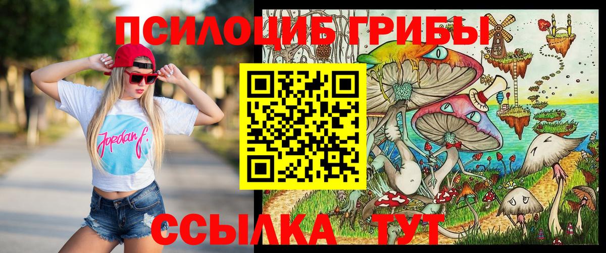 Псилоцибиновые грибы прущие грибы  Вход с VPN  Кимовск 