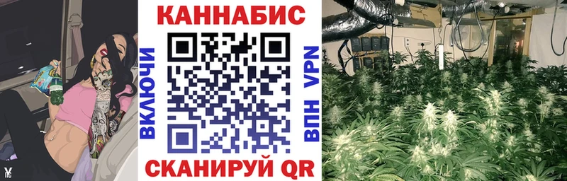 Марихуана план  Кимовск 